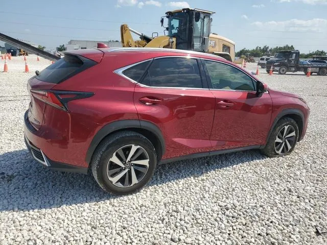 JTJBJRBZ1K2098000 2019 2019 Lexus NX- 300H 3