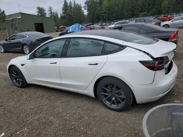 5YJ3E1EBXMF002442 2021 2021 Tesla MODEL 3 2