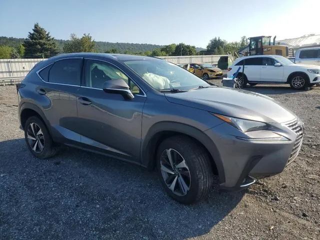 JTJGARDZ6L2236067 2020 2020 Lexus NX- 300 4