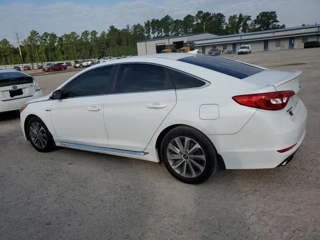 5NPE34AF4FH143004 2015 2015 Hyundai Sonata- Sport 2