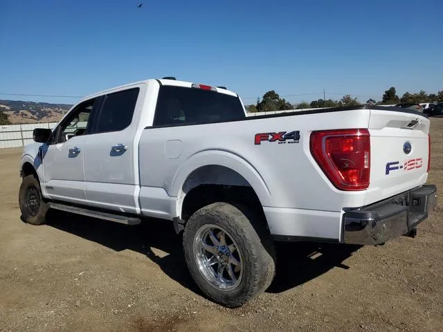 1FTFW1ED3PFA33933 2023 2023 Ford F-150- Supercrew 2