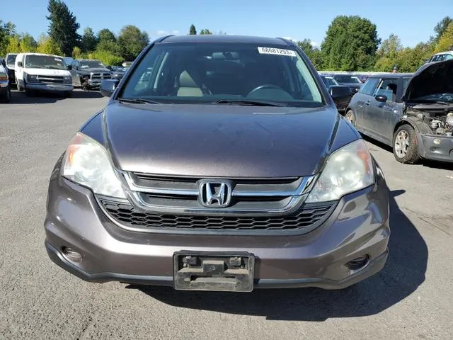 5J6RE4H41BL012855 2011 2011 Honda CR-V- SE 5