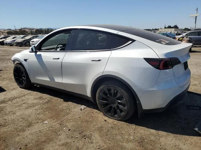 5YJYGDED7MF103117 2021 2021 Tesla MODEL Y 2