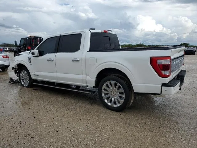 1FTFW1ED7NFA67791 2022 2022 Ford F-150- Supercrew 2