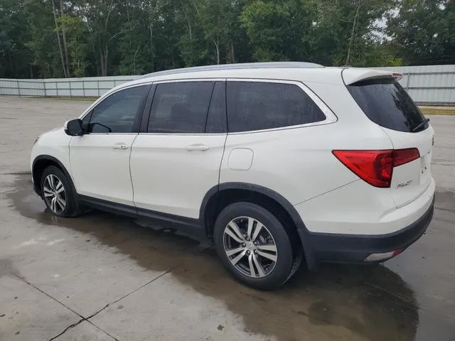 5FNYF5H51GB034992 2016 2016 Honda Pilot- Exl 2