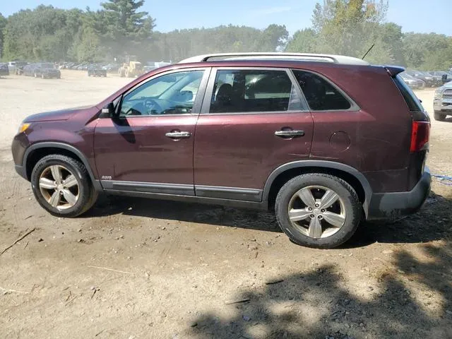 5XYKUDA2XDG374586 2013 2013 KIA Sorento- EX 2