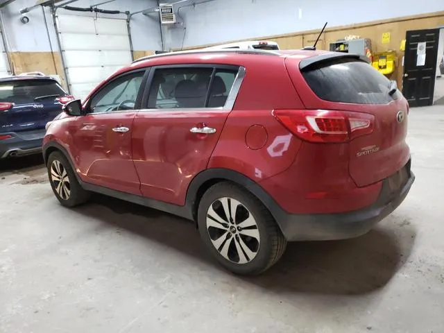 KNDPC3A24D7531769 2013 2013 KIA Sportage- EX 2