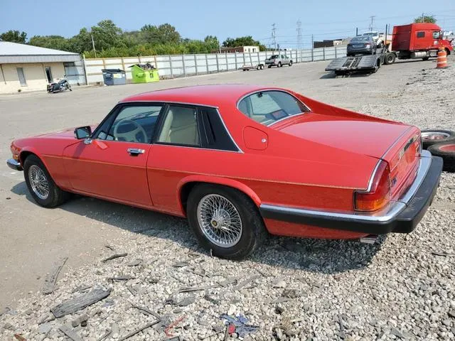 SAJTY5849KC164540 1989 1989 Jaguar XJS- Collection Rouge 2