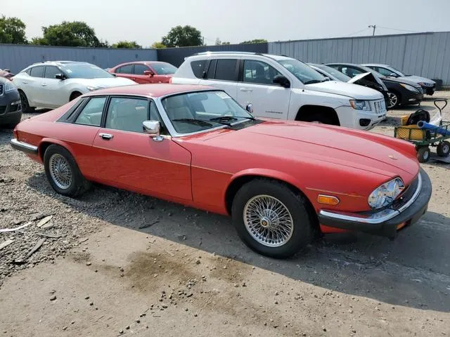 SAJTY5849KC164540 1989 1989 Jaguar XJS- Collection Rouge 4