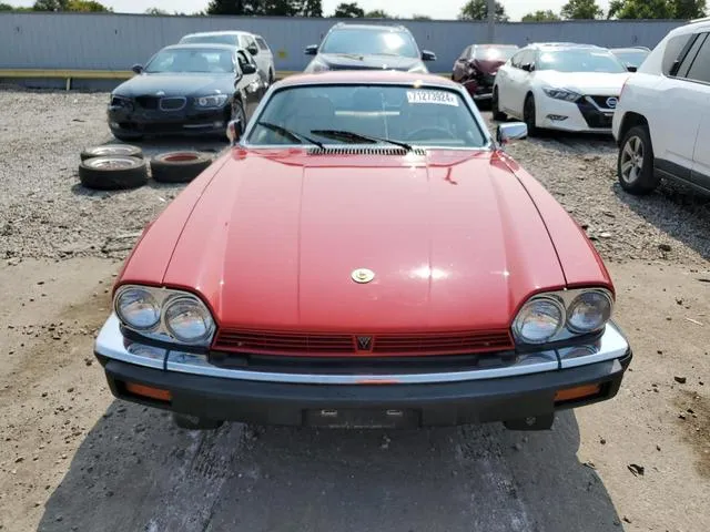 SAJTY5849KC164540 1989 1989 Jaguar XJS- Collection Rouge 5