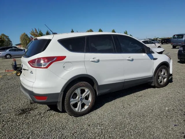 1FMCU9GX1DUA42597 2013 2013 Ford Escape- SE 3