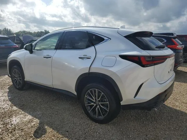 JTJGDCAZ2P5009827 2023 2023 Lexus NX- 250 2