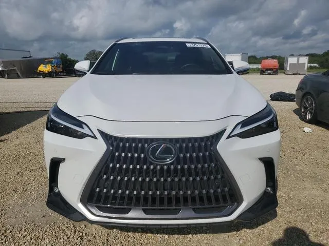 JTJGDCAZ2P5009827 2023 2023 Lexus NX- 250 5