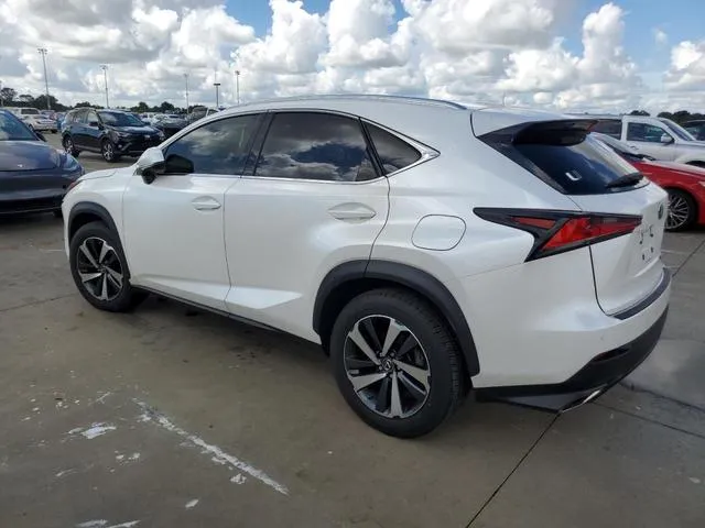 JTJYARBZ0K2151019 2019 2019 Lexus NX- 300 Base 2