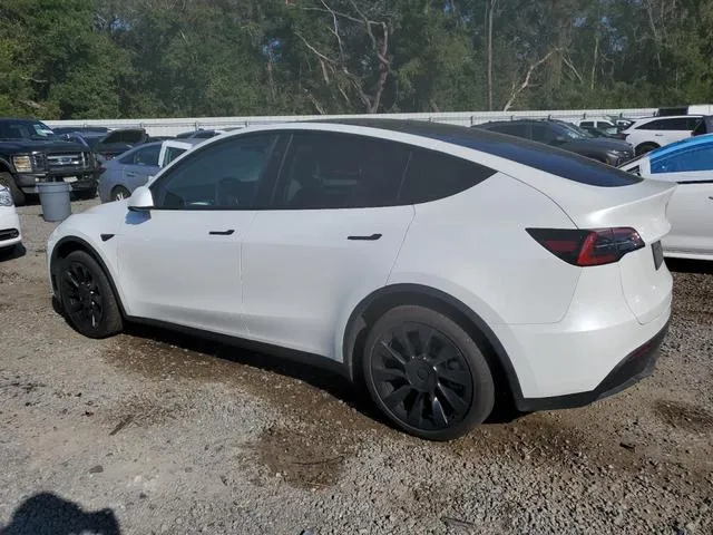 7SAYGDEE1RA262814 2024 2024 Tesla MODEL Y 2