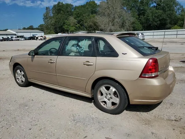 1G1ZU64865F142753 2005 2005 Chevrolet Malibu- Maxx Lt 2