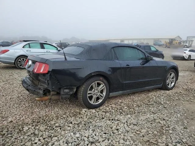 1ZVBP8EN8A5164069 2010 2010 Ford Mustang 3