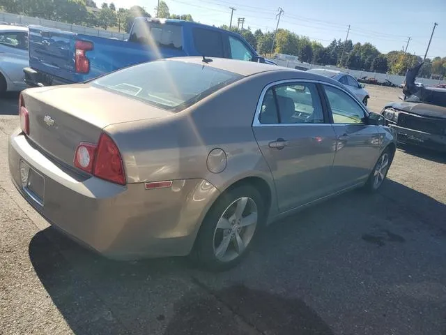 1G1ZJ57B68F194169 2008 2008 Chevrolet Malibu- 2LT 3