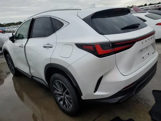 JTJADCAZ5P2006346 2023 2023 Lexus NX- 250 2