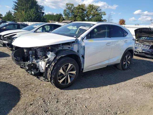 JTJGJRDZ0L5003610 2020 2020 Lexus NX- 300H 1