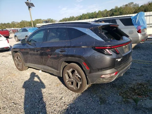 5NMJECDEXRH295716 2024 2024 Hyundai Tucson- Limited 2