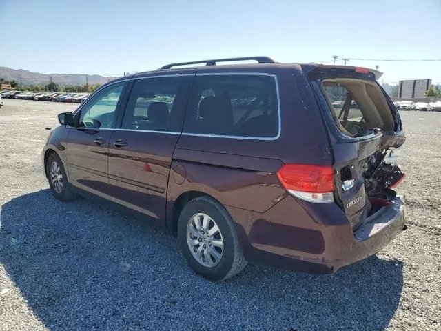 5FNRL3H61AB078833 2010 2010 Honda Odyssey- Exl 2