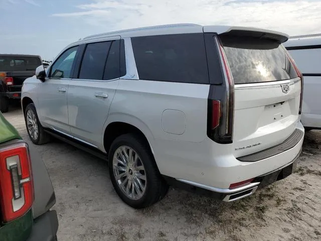 1GYS4CKL2RR190456 2024 2024 Cadillac Escalade- Premium Luxury 2