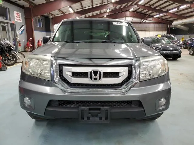 5FNYF48619B048381 2009 2009 Honda Pilot- Exl 5