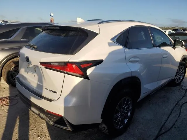 JTJDJRDZ2L5008004 2020 2020 Lexus NX- 300H 3