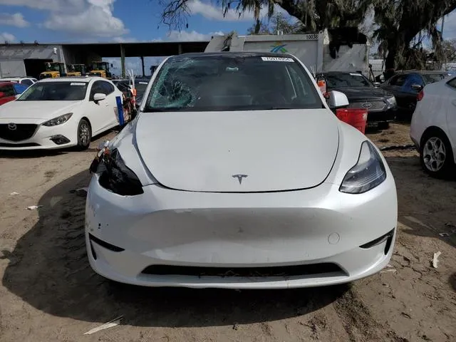 5YJYGDEF4MF263456 2021 2021 Tesla MODEL Y 5