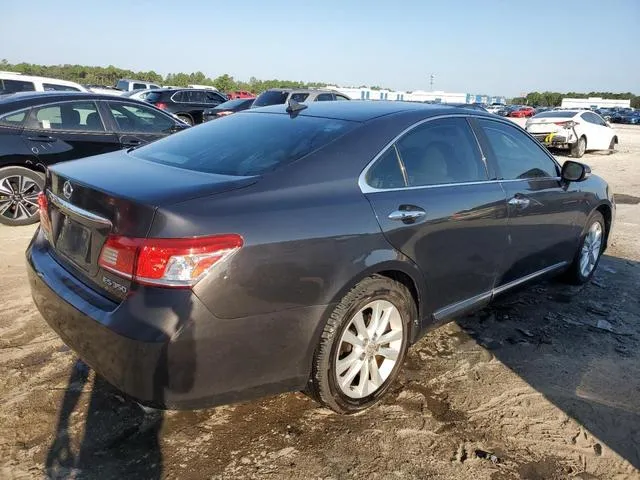 JTHBK1EG9A2368289 2010 2010 Lexus ES- 350 3