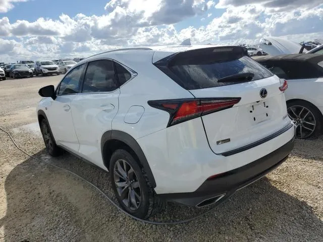 JTJSARBZ5M2200904 2021 2021 Lexus NX- 300 Base 2