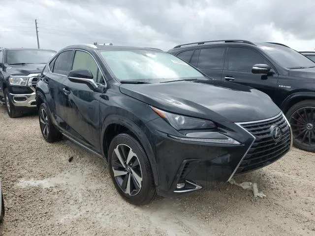 JTJGARBZ2M2197918 2021 2021 Lexus NX- 300 Base 4