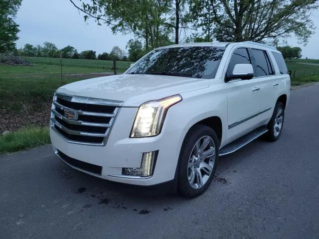 1GYS4MKJ0FR536259 2015 2015 Cadillac Escalade- Luxury 2