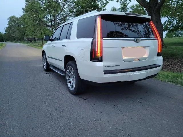 1GYS4MKJ0FR536259 2015 2015 Cadillac Escalade- Luxury 3