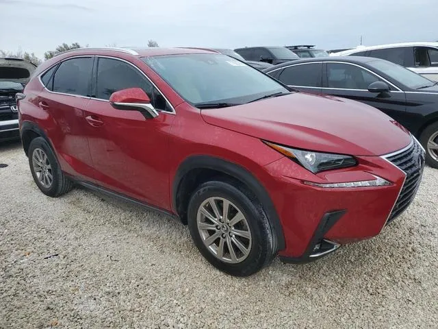 JTJDARBZ1L5011253 2020 2020 Lexus NX- 300 4