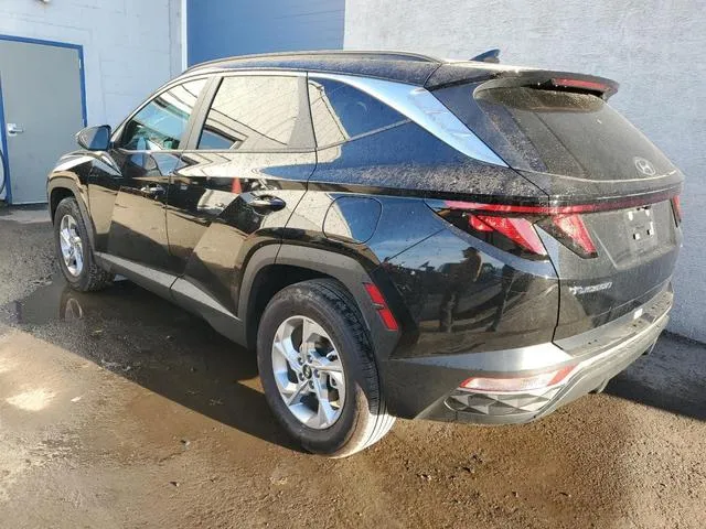 5NMJBCDE3RH390451 2024 2024 Hyundai Tucson- Sel 2