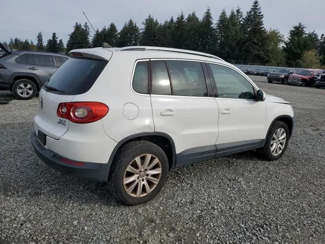 WVGBV75N49W501521 2009 2009 Volkswagen Tiguan- SE 3