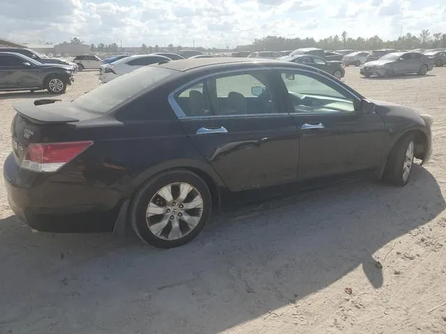 5KBCP3F89AB001448 2010 2010 Honda Accord- Exl 3