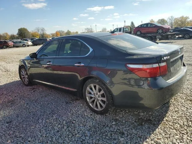 JTHBL46F585072991 2008 2008 Lexus LS- 460 2