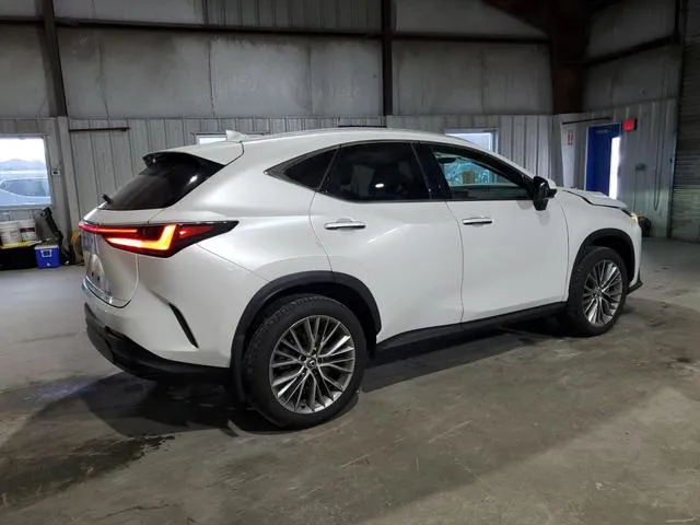 2T2HGCEZ1RC032641 2024 2024 Lexus NX- 350 Luxury 3