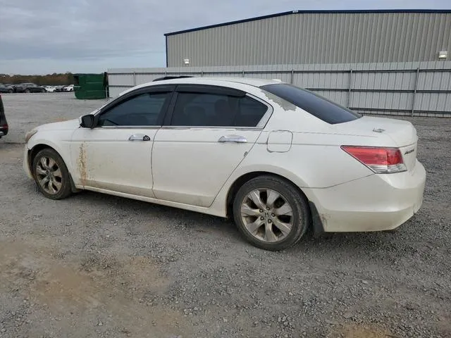 5KBCP3F81AB014338 2010 2010 Honda Accord- Exl 2