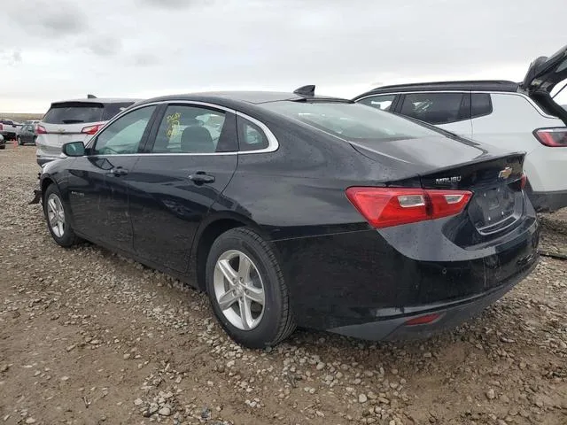 1G1ZD5ST3PF170207 2023 2023 Chevrolet Malibu- LT 2