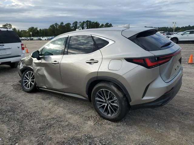 2T2GKCEZ0SC036454 2025 2025 Lexus NX- 350H Base 2