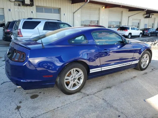 1ZVBP8AM8D5258941 2013 2013 Ford Mustang 3