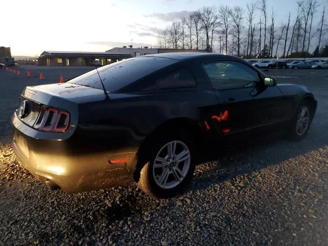 1ZVBP8AM0D5217591 2013 2013 Ford Mustang 3