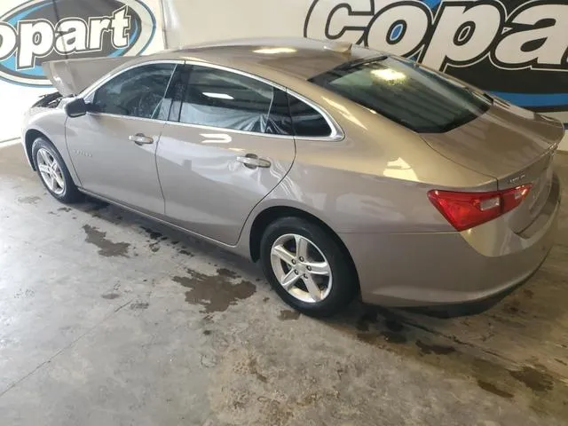 1G1ZD5ST8PF224830 2023 2023 Chevrolet Malibu- LT 2