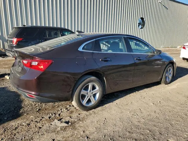 1G1ZC5ST9LF116214 2020 2020 Chevrolet Malibu- LS 3