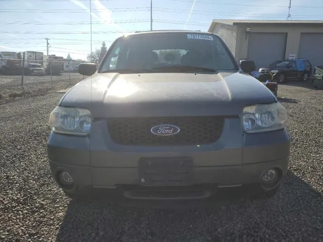 1FMCU94155KC71569 2005 2005 Ford Escape- Limited 5