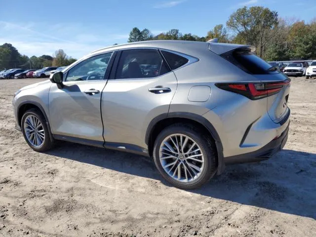 JTJHGCEZ4S5010282 2025 2025 Lexus NX- 350 Luxury 2